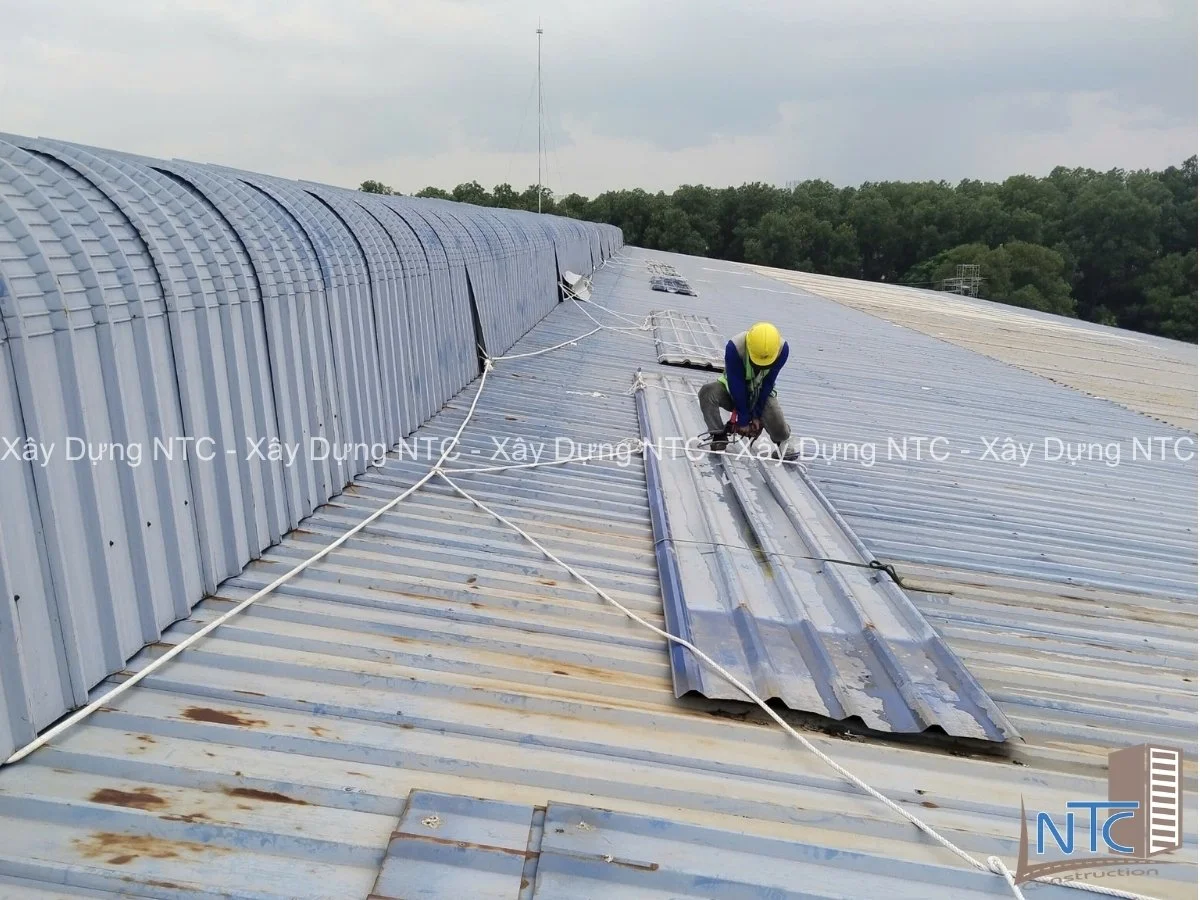 Cải tạo mái nhà xưởng 1000m2 chi phí bao nhiêu?
