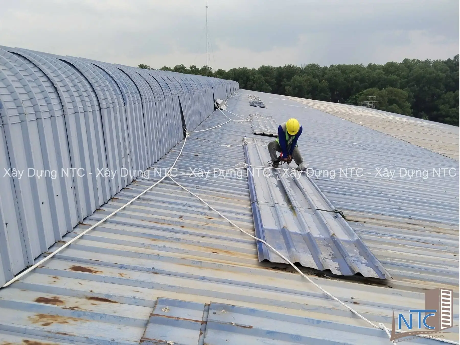 Kinh nghiệm giúp tối ưu chi phí cải tạo mái nhà xưởng 1000m2
